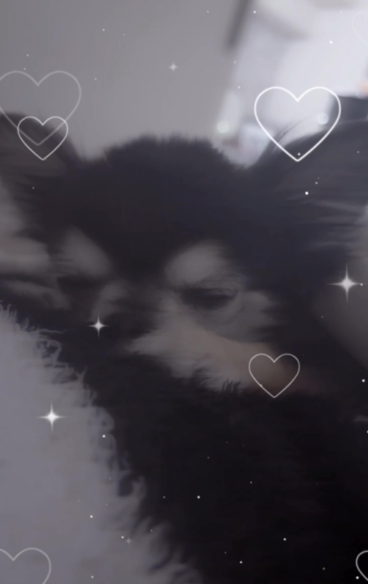 クラブ ライズ りあ RISE りあ1