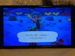 クラブ レオ あすか 疲れた時は酸っぱい物を1