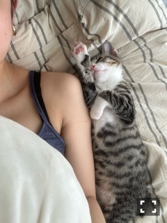 クラブ レオ けい 61