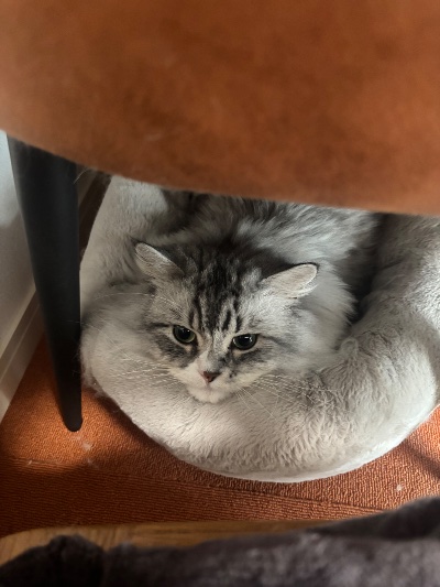 クラブ レオ 渚 🐈1