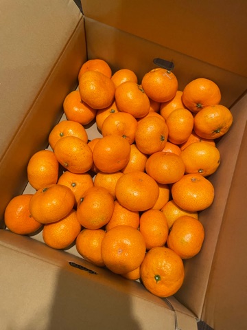 くらぶ 怜 ほのか くらぶ怜 神山ほのか1