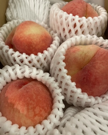 くらぶ 怜 古都美 フルーツ⭐︎1