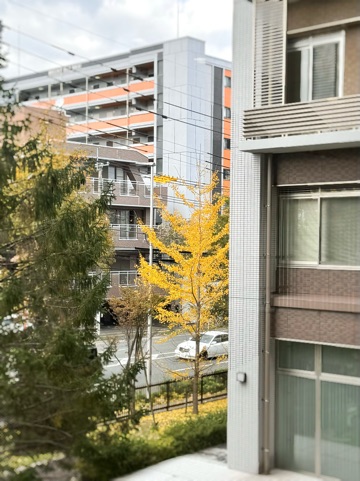 クラブ ロイヤル 咲 🥹1