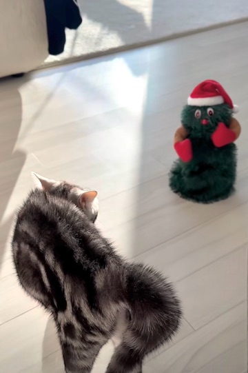 クラブ ロイヤル 咲 🎄1