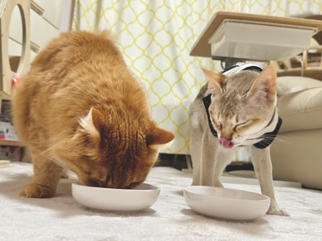 クラブ ロイヤル 咲 👅1