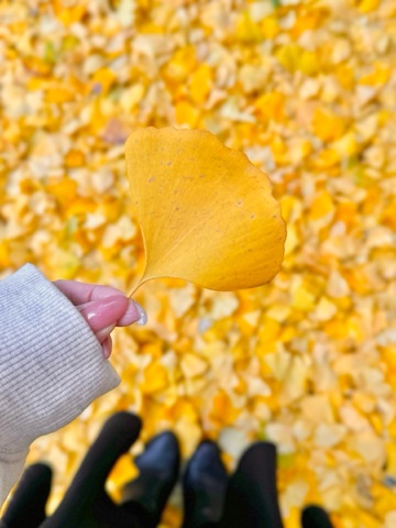 クラブ ロイヤル 咲 💛1