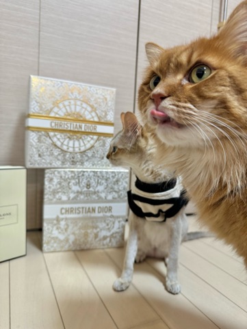 クラブ ロイヤル 咲 👅1