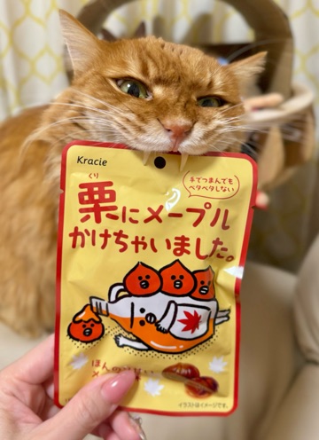 クラブ ロイヤル 咲 🐆1