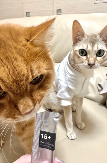 クラブ ロイヤル 咲 ☺️1