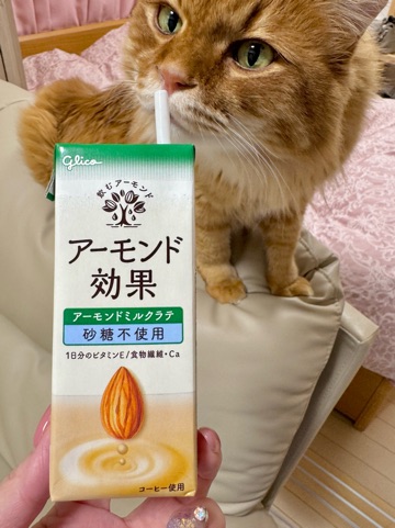 クラブ ロイヤル 咲 ☺️1