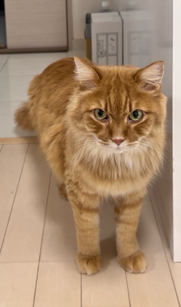 クラブ ロイヤル 咲 👅1