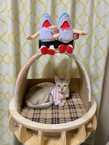 クラブ ロイヤル 咲 🏠1