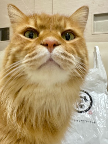 クラブ ロイヤル 咲 🧄1