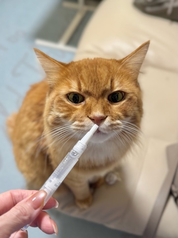 中洲　キャバクラ　キャバ嬢日記