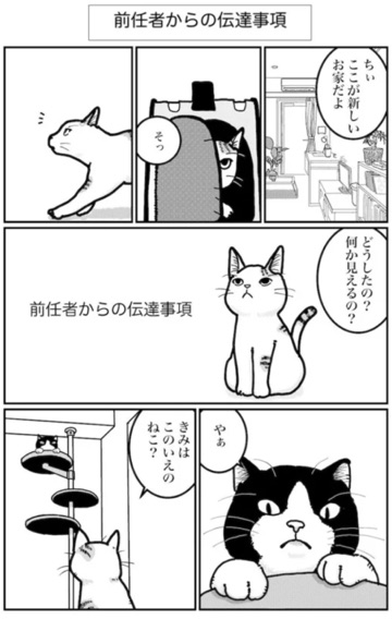 クラブ ロイヤル 咲 🐈⬛1