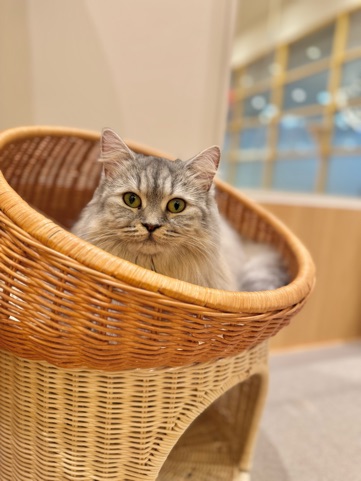 クラブ ロイヤル 咲 🐈1