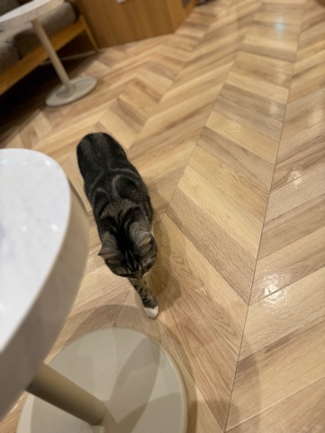 クラブ ロイヤル 咲 🐌1