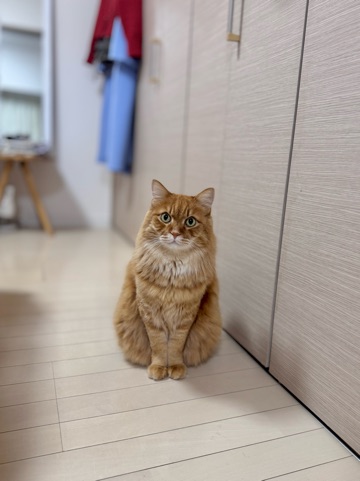 クラブ ロイヤル 咲 🤧1