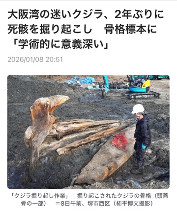 クラブ ロイヤル 咲 🐋1