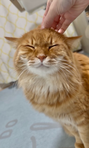 クラブ ロイヤル 咲 🥴1