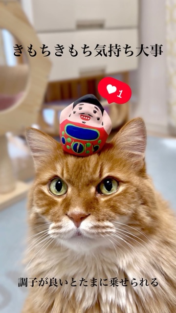 クラブ ロイヤル 咲 👏🏻1