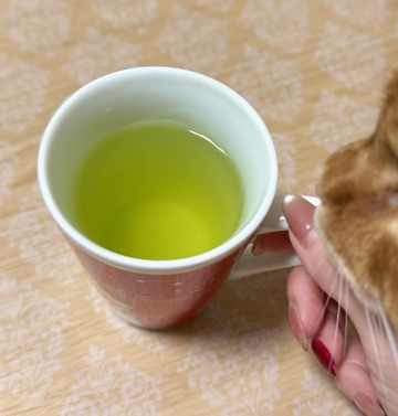 クラブ ロイヤル 咲 🍵1