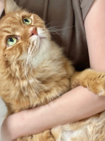 クラブ ロイヤル 咲 🥰1