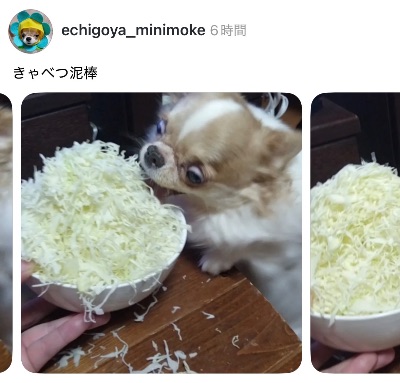 中洲　キャバクラ　キャバ嬢日記