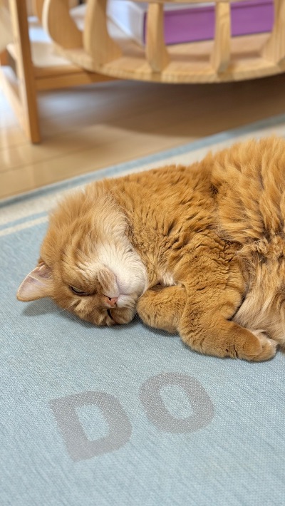 クラブ ロイヤル 咲 🥱1