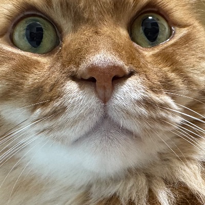 中洲　キャバクラ　キャバ嬢日記