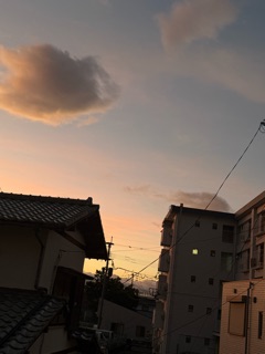 ラウンジリオ中洲 あき (=^ェ^=)1