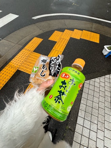 ラウンジリオ中洲 ありす おはようございます☀️1