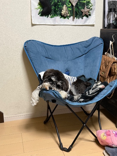 ラウンジリオ中洲 ありす おやすみでした🌙1