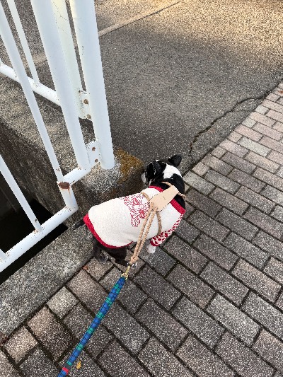 ラウンジリオ中洲 ありす 😪😪1