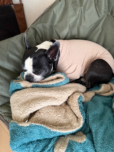 ラウンジリオ中洲 ありす お久しぶりです😭1