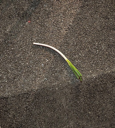 ラウンジリオ中洲 まいか ネギ落ちてた爆笑😂1