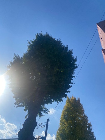 ラウンジリオ中洲 みれい ( ˶˙ᵕ˙˶ )オハヨ!1