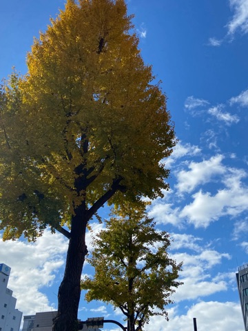 ラウンジリオ中洲 みれい (*っω-)オハヨー1