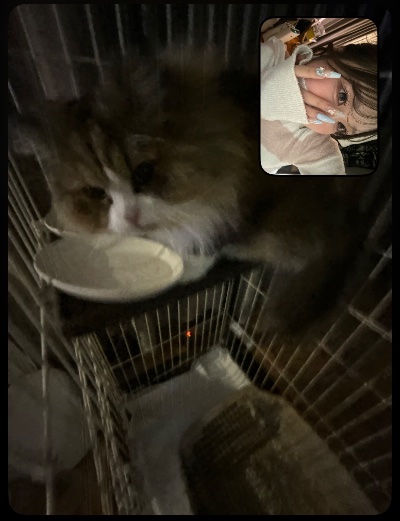 ラウンジリオ中洲 なの 🐱1