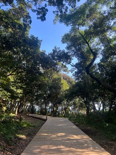 ラウンジリオ中洲 れんか 地元愛🩷1