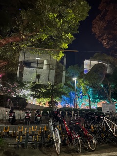 ラウンジリオ中洲 れんか イルミ見えた👀1