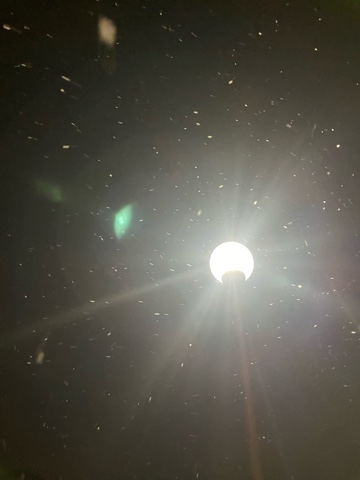 ラウンジリオ中洲 りの ゆき1