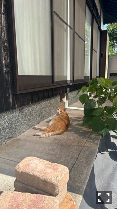 ラウンジリオ中洲 さやか アントニオ1