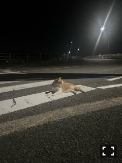 ラウンジリオ中洲 さやか アントニオ1