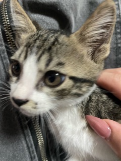 ラウンジリオ中洲 せいら 周年イベント2日目🌟1