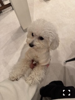 ラウンジリオ中洲 すず あざといの!!1