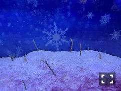 ラウンジリオ中洲 すず 水族館🐬1