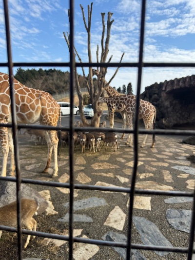 ラウンジリオ中洲 すず 🦒1