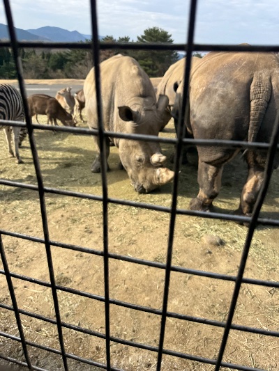 ラウンジリオ中洲 すず 🦏1