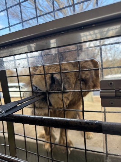 ラウンジリオ中洲 すず 🦁1